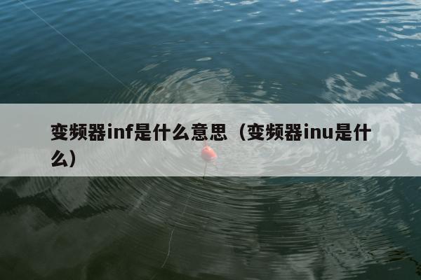 变频器inf是什么意思（变频器inu是什么）