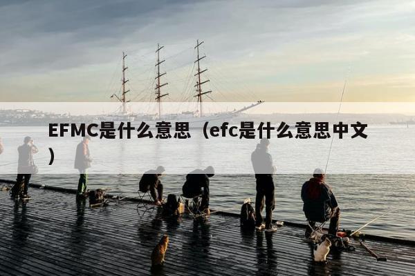 EFMC是什么意思（efc是什么意思中文）