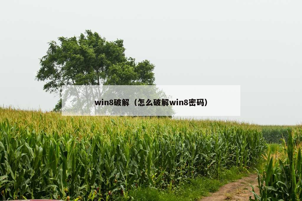 win8破解（怎么破解win8密码）