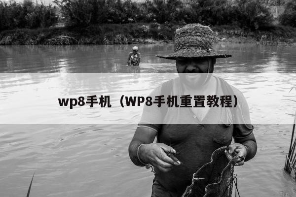 wp8手机（WP8手机重置教程）