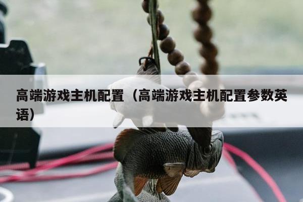 高端游戏主机配置（高端游戏主机配置参数英语）