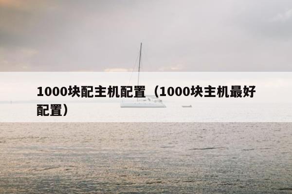 1000块配主机配置（1000块主机最好配置）