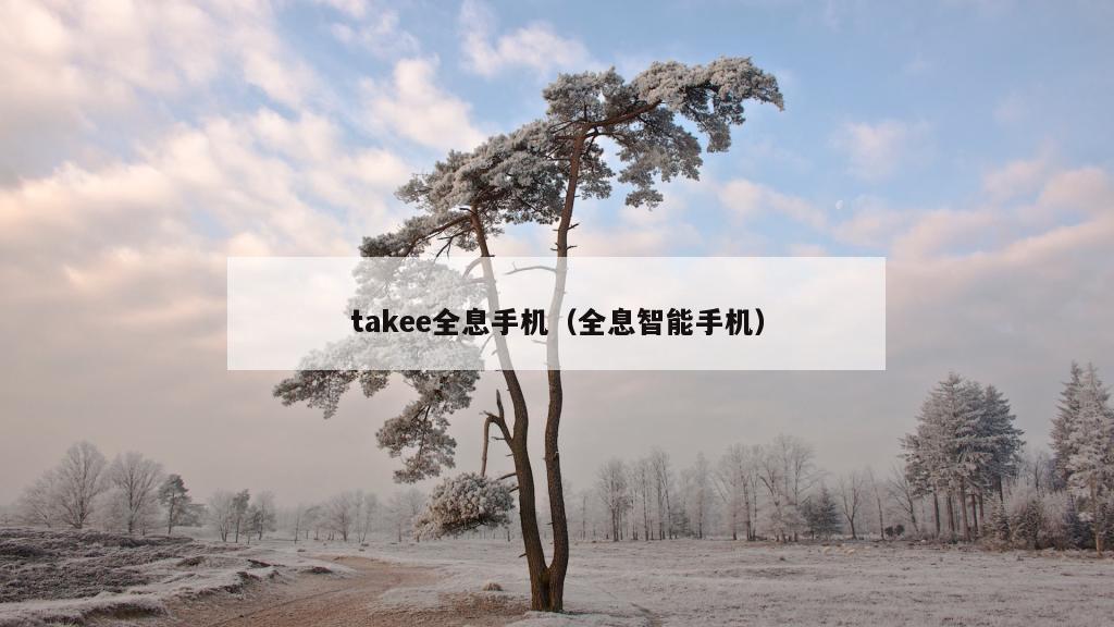 takee全息手机（全息智能手机）