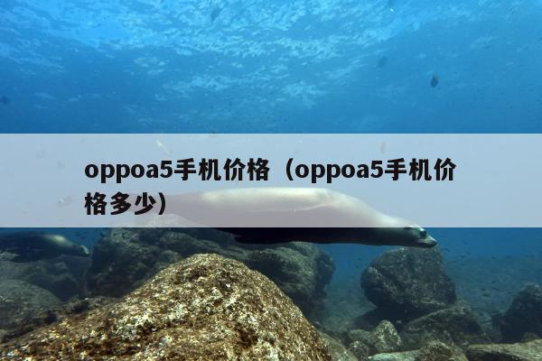 oppoa5手机价格（oppoa5手机价格多少）