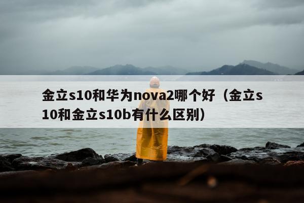 金立s10和华为nova2哪个好（金立s10和金立s10b有什么区别）