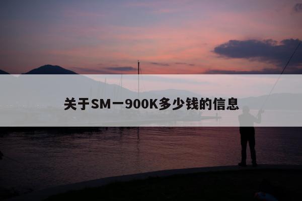 关于SM一900K多少钱的信息