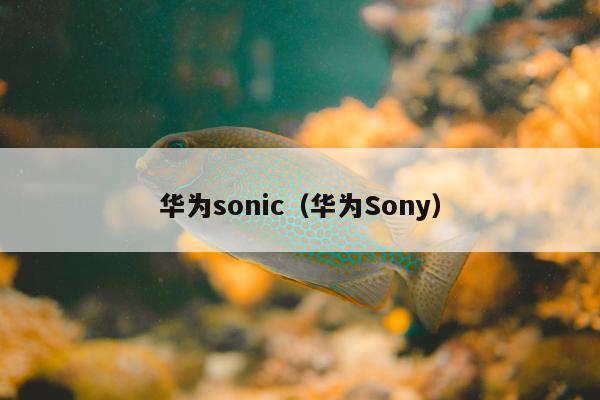 华为sonic（华为Sony）