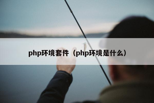 php环境套件（php环境是什么）