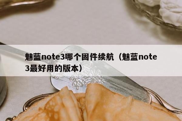 魅蓝note3哪个固件续航（魅蓝note3最好用的版本）