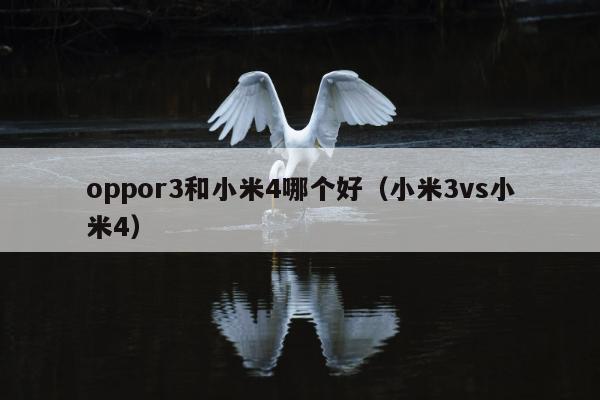 oppor3和小米4哪个好（小米3vs小米4）