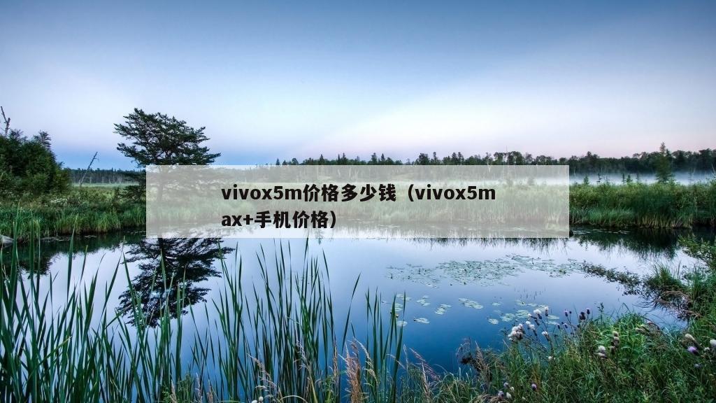 vivox5m价格多少钱（vivox5max+手机价格）