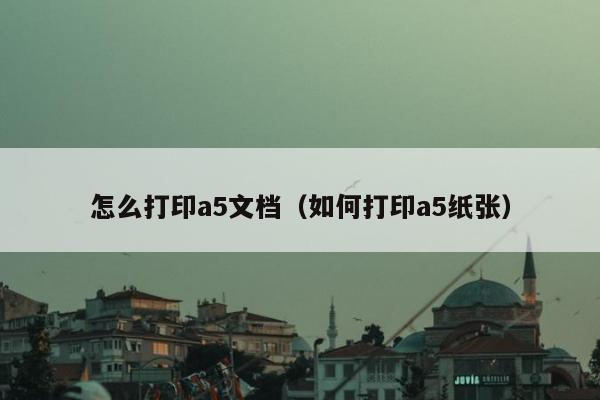 怎么打印a5文档（如何打印a5纸张）