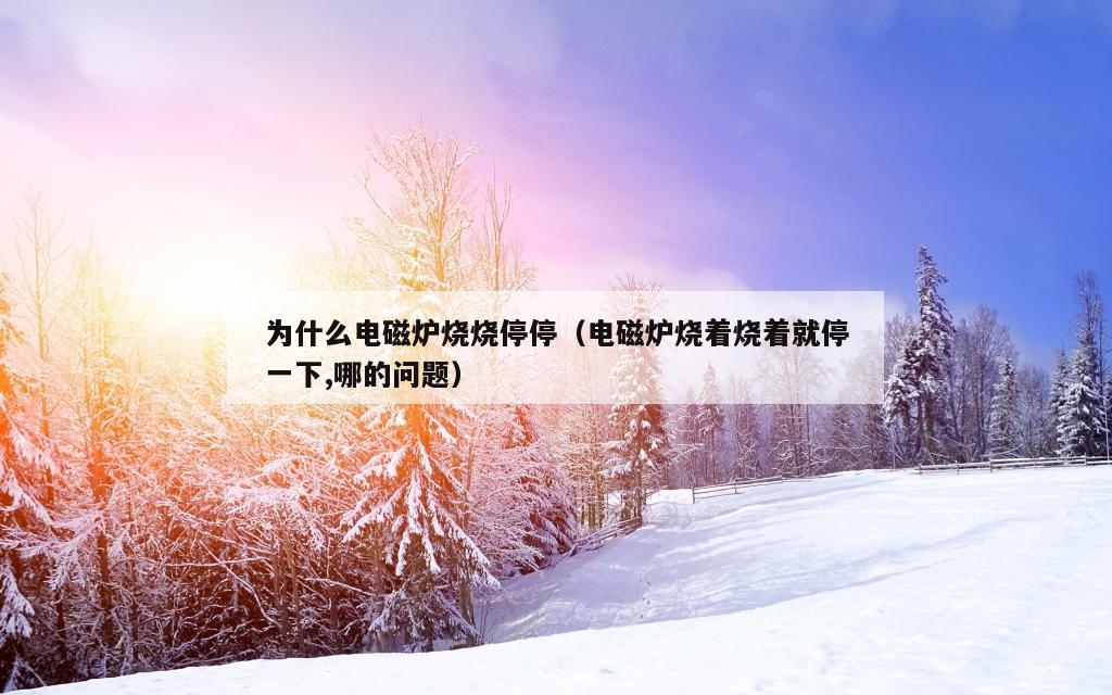 为什么电磁炉烧烧停停（电磁炉烧着烧着就停一下,哪的问题）