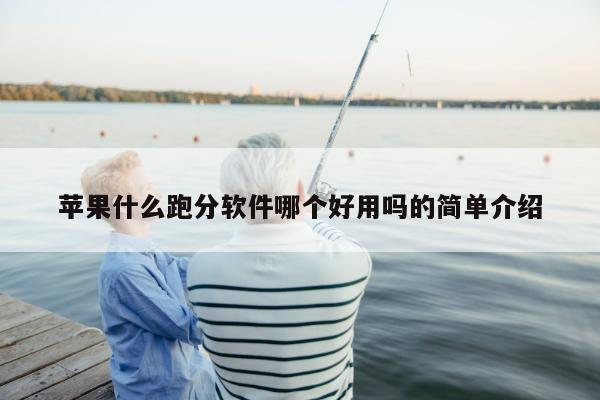 苹果什么跑分软件哪个好用吗的简单介绍