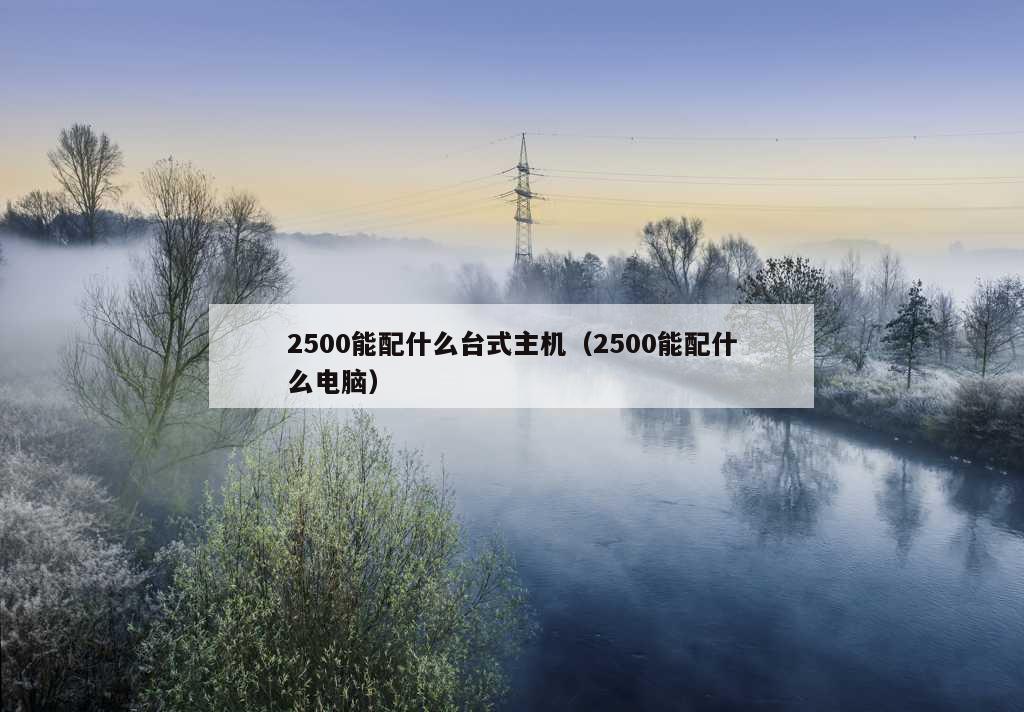 2500能配什么台式主机（2500能配什么电脑）