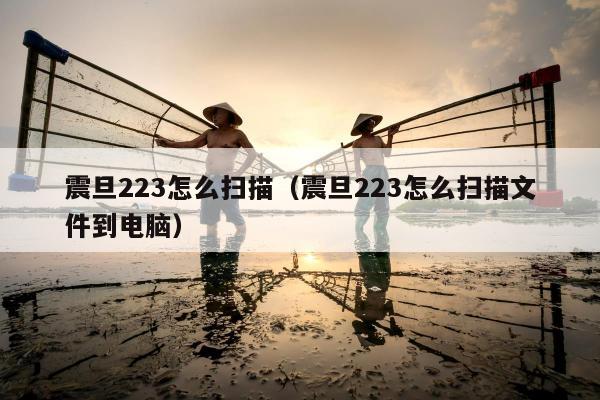 震旦223怎么扫描（震旦223怎么扫描文件到电脑）