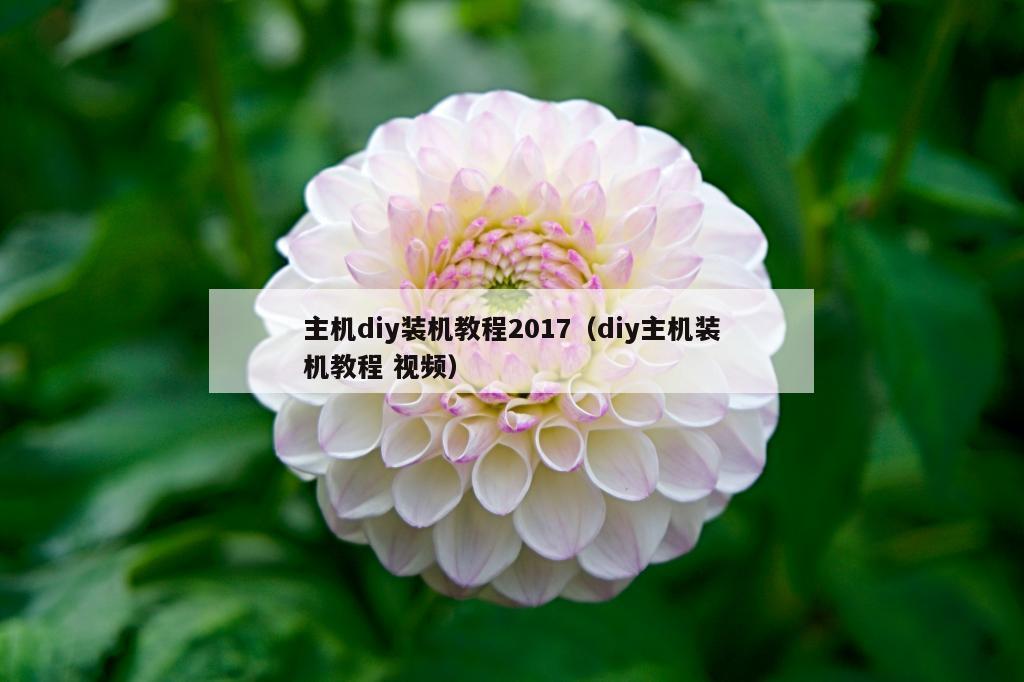 主机diy装机教程2017（diy主机装机教程 视频）