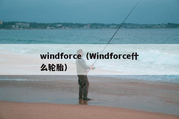 windforce（Windforce什么轮胎）