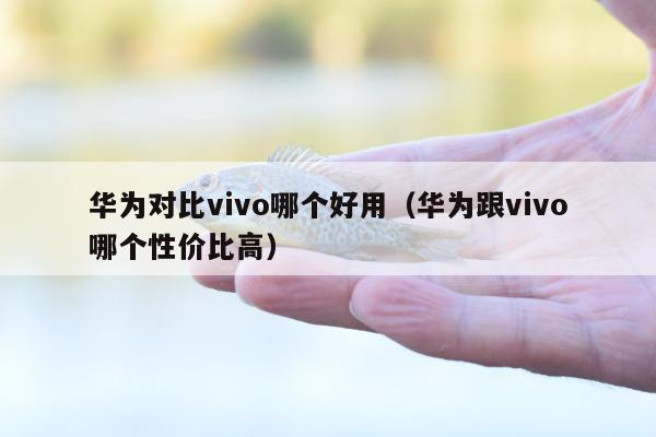 华为对比vivo哪个好用（华为跟vivo哪个性价比高）