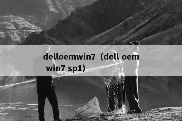 delloemwin7（dell oem win7 sp1）