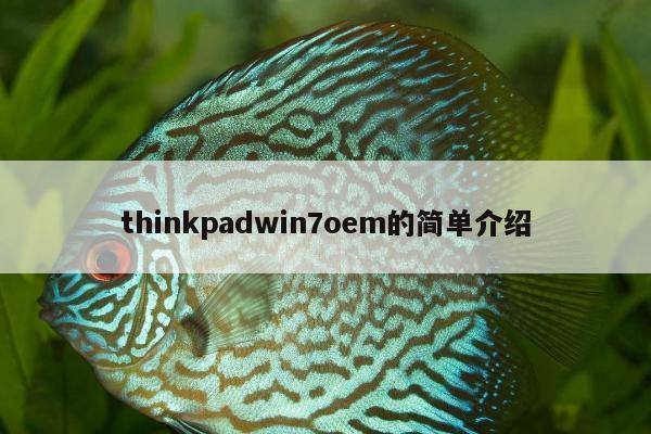 thinkpadwin7oem的简单介绍