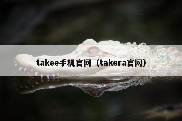 takee手机官网（takera官网）