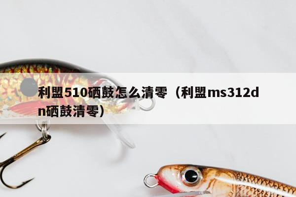 利盟510硒鼓怎么清零（利盟ms312dn硒鼓清零）