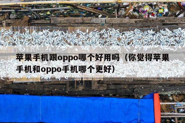 苹果手机跟oppo哪个好用吗（你觉得苹果手机和oppo手机哪个更好）