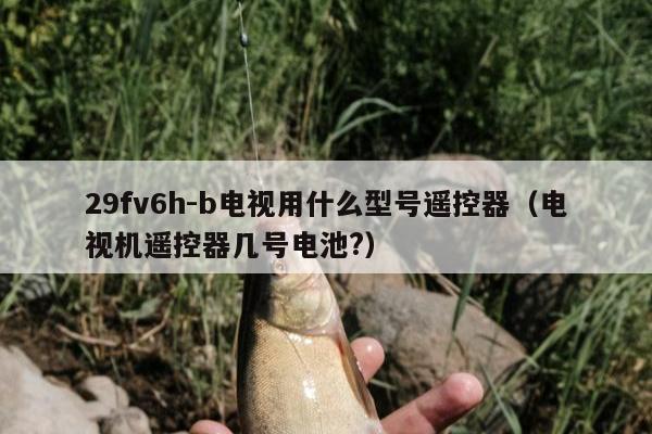 29fv6h-b电视用什么型号遥控器（电视机遥控器几号电池?）