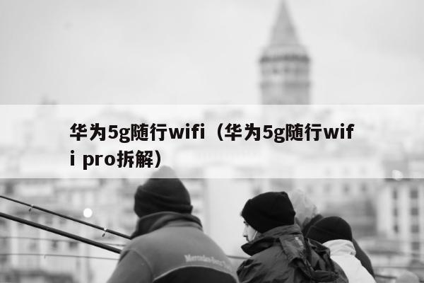 华为5g随行wifi（华为5g随行wifi pro拆解）