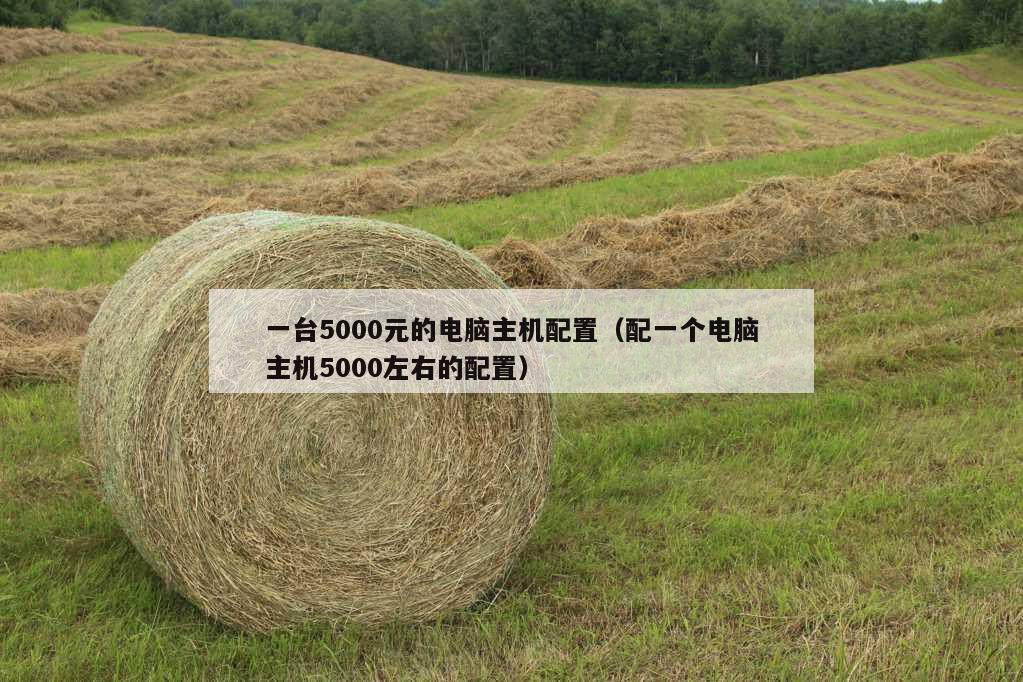 一台5000元的电脑主机配置（配一个电脑主机5000左右的配置）