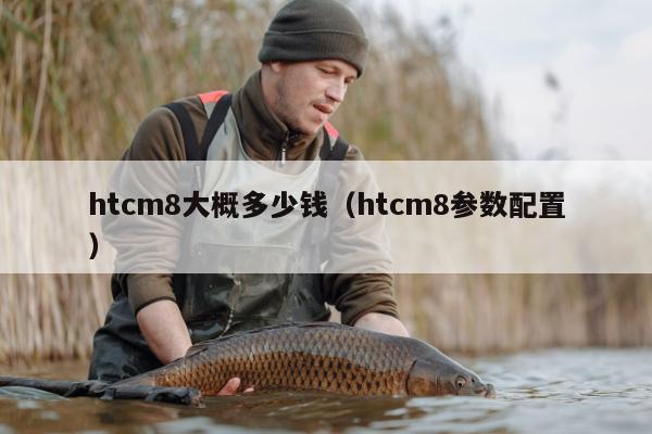 htcm8大概多少钱（htcm8参数配置）