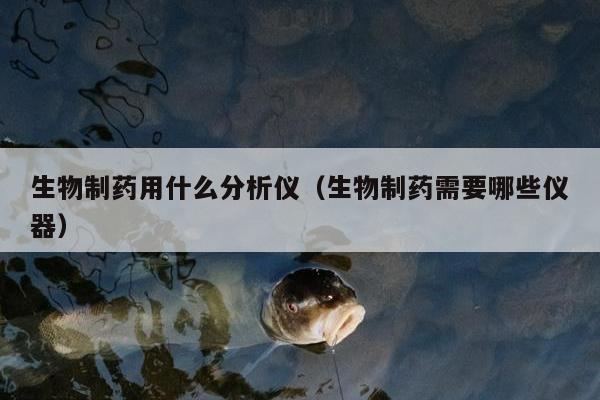 生物制药用什么分析仪（生物制药需要哪些仪器）