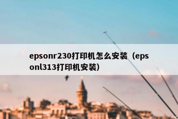 epsonr230打印机怎么安装（epsonl313打印机安装）