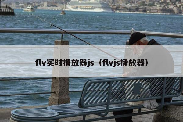 flv实时播放器js（flvjs播放器）