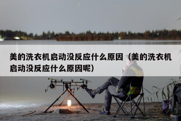 美的洗衣机启动没反应什么原因（美的洗衣机启动没反应什么原因呢）