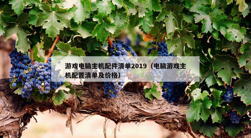 游戏电脑主机配件清单2019（电脑游戏主机配置清单及价格）