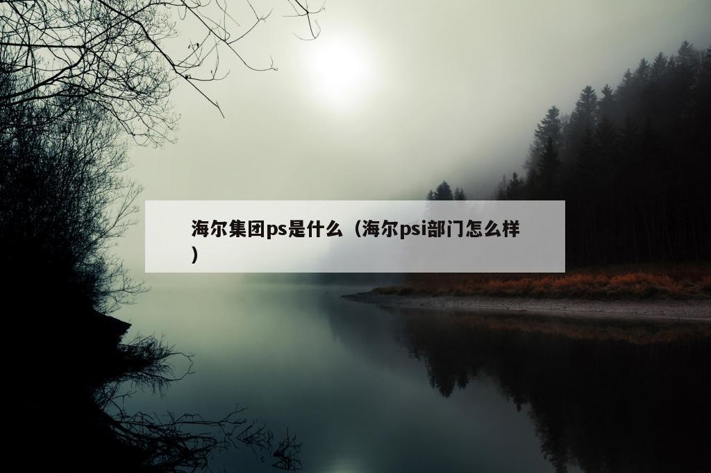 海尔集团ps是什么（海尔psi部门怎么样）