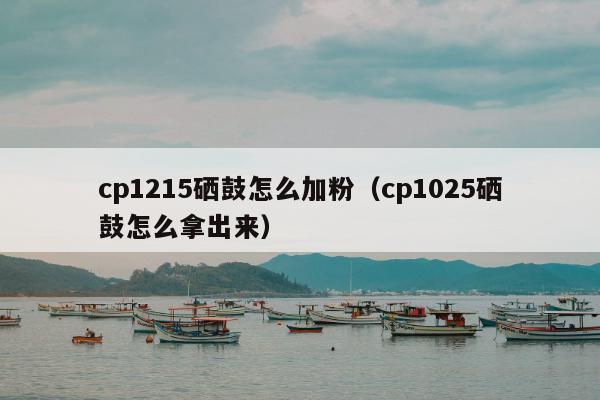 cp1215硒鼓怎么加粉（cp1025硒鼓怎么拿出来）