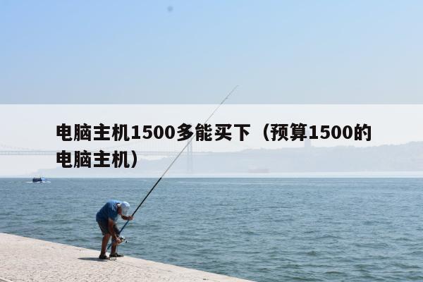 电脑主机1500多能买下（预算1500的电脑主机）