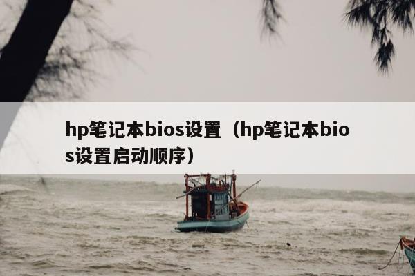 hp笔记本bios设置（hp笔记本bios设置启动顺序）