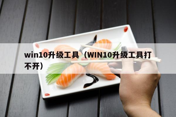 win10升级工具（WIN10升级工具打不开）