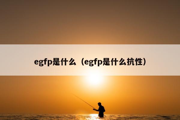 egfp是什么（egfp是什么抗性）