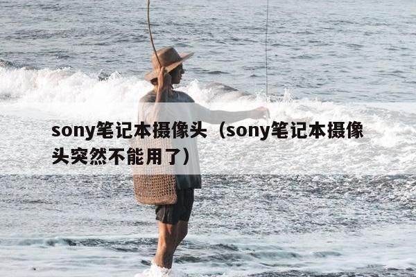 sony笔记本摄像头（sony笔记本摄像头突然不能用了）