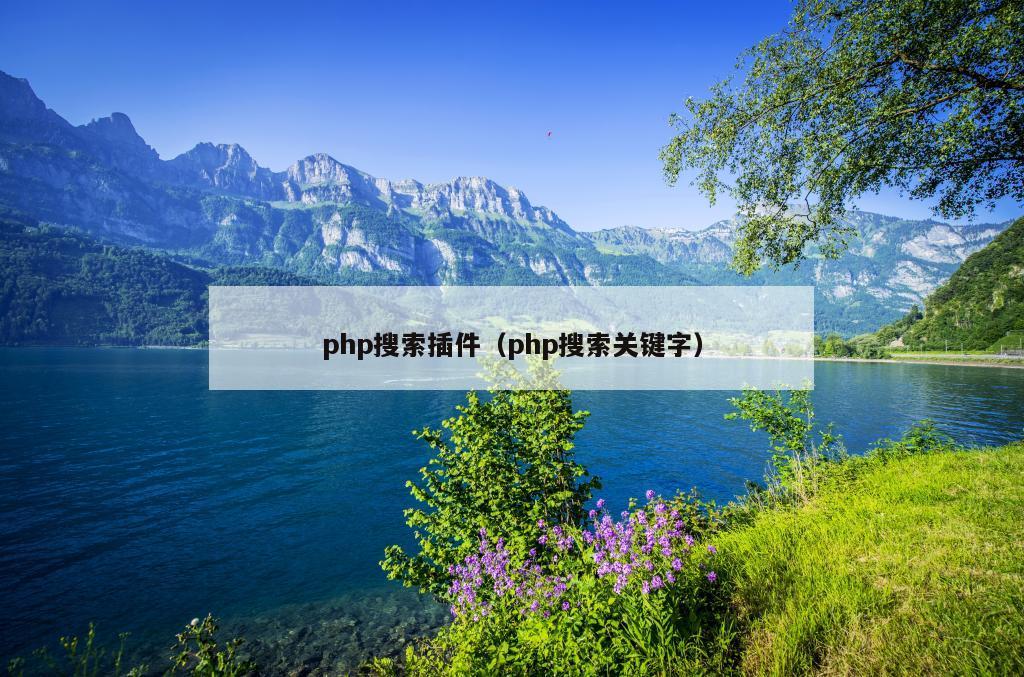 php搜索插件（php搜索关键字）