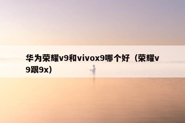 华为荣耀v9和vivox9哪个好（荣耀v9跟9x）