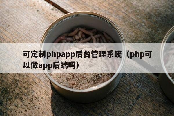 可定制phpapp后台管理系统（php可以做app后端吗）