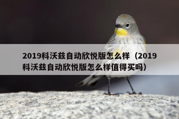 2019科沃兹自动欣悦版怎么样（2019科沃兹自动欣悦版怎么样值得买吗）