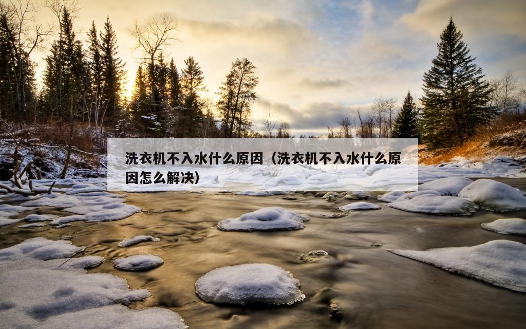 洗衣机不入水什么原因（洗衣机不入水什么原因怎么解决）