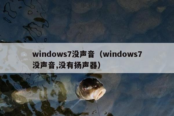 windows7没声音（windows7没声音,没有扬声器）